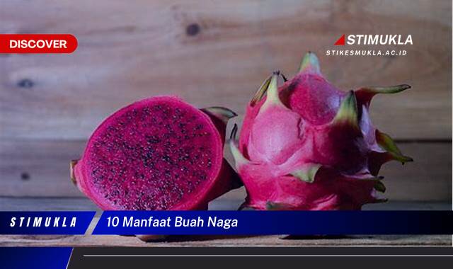 Ketahui 10 Manfaat Buah Naga untuk Kesehatan Tubuh Anda Ketahui 10 Manfaat Buah Naga untuk Kesehatan Tubuh Anda