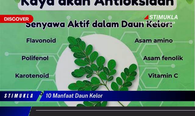 Ketahui 10 Manfaat Daun Kelor untuk Kesehatan Anda