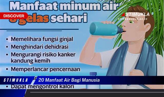 Ketahui 20 Manfaat Air Bagi Manusia untuk Kesehatan Tubuh Anda Ketahui 20 Manfaat Air Bagi Manusia untuk Kesehatan Tubuh Anda