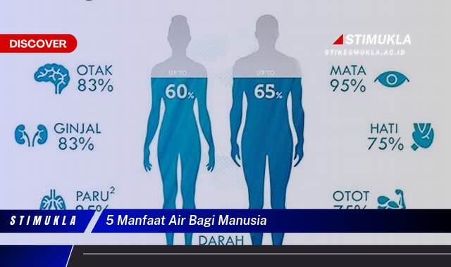 Ketahui 5 Manfaat Air Bagi Manusia yang Penting untuk Kesehatan Tubuh Anda