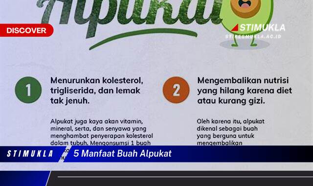 Ketahui 5 Manfaat Buah Alpukat untuk Kesehatan Tubuh Anda