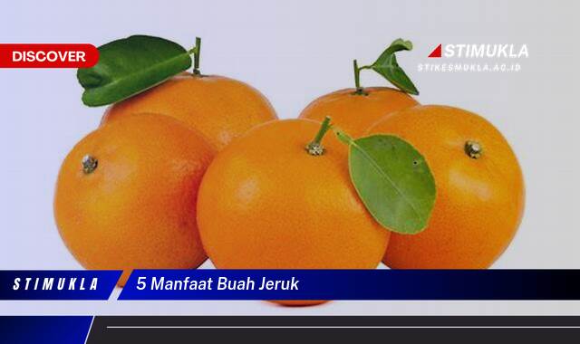 Ketahui 5 Manfaat Buah Jeruk untuk Kesehatan Anda