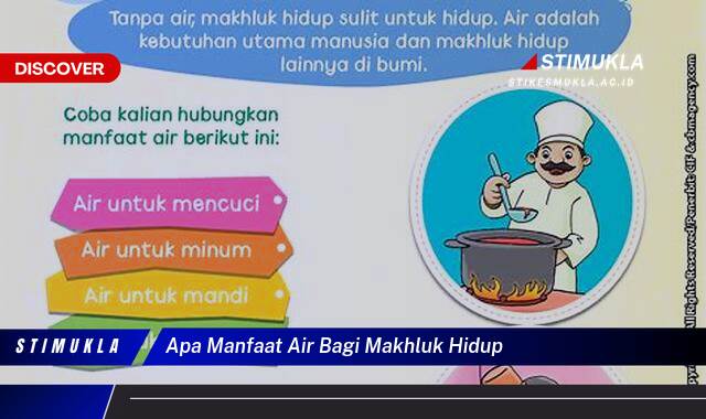 Temukan 10 Manfaat Air Bagi Makhluk Hidup, Rahasia Keseimbangan Alam