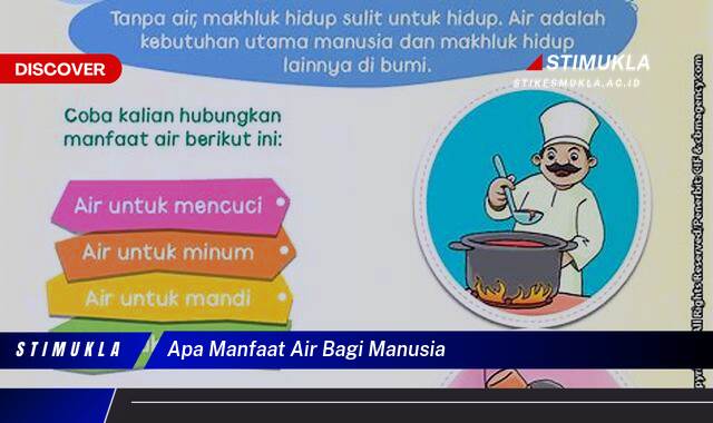 Ketahui 10 Manfaat Air Bagi Manusia, Panduan Lengkap untuk Kesehatan & Kehidupan Ketahui 10 Manfaat Air Bagi Manusia, Panduan Lengkap untuk Kesehatan & Kehidupan