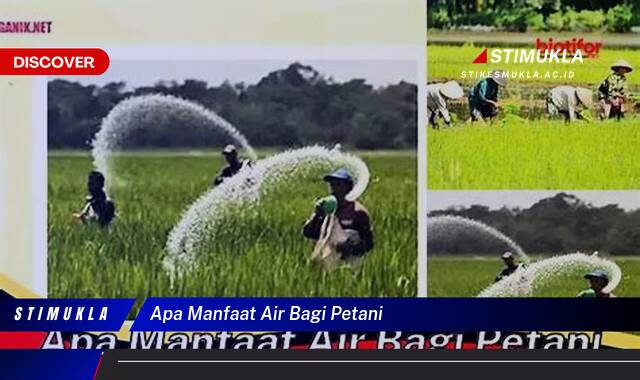 Ketahui 9 Manfaat Air Bagi Petani, Kunci Sukses Panen Melimpah dan Berkelanjutan