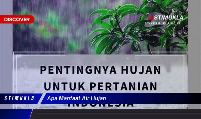 Temukan 10 Manfaat Air Hujan yang Mengejutkan untuk Kesehatan dan Rumah Tangga