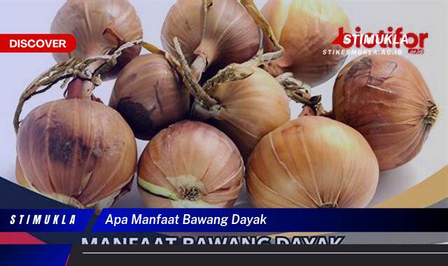 Ketahui 10 Manfaat Bawang Dayak untuk Kesehatan dan Kecantikan Anda