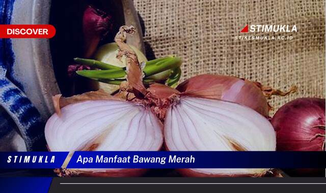 Ketahui 8 Manfaat Bawang Merah untuk Kesehatan, Kecantikan, dan Masakan Ketahui 8 Manfaat Bawang Merah untuk Kesehatan, Kecantikan, dan Masakan