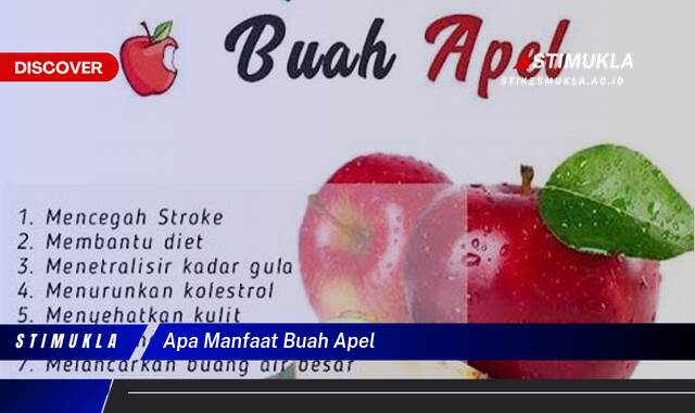 Ketahui 9 Manfaat Buah Apel untuk Kesehatan Tubuh Anda