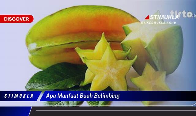 Ketahui 9 Manfaat Buah Belimbing untuk Kesehatan Tubuh Anda