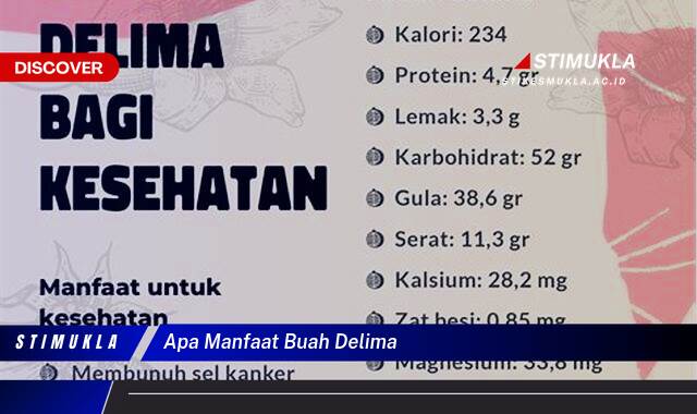 Ketahui 9 Manfaat Buah Delima untuk Kesehatan dan Kecantikan Anda