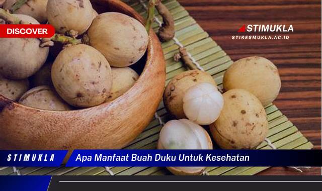 Ketahui 10 Manfaat Buah Duku untuk Kesehatan Tubuh Anda