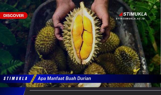 Ketahui 10 Manfaat Buah Durian untuk Kesehatan Tubuh Anda