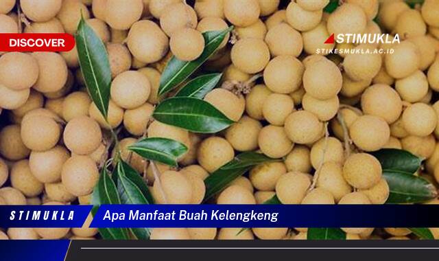 Ketahui 10 Manfaat Buah Kelengkeng untuk Kesehatan dan Kecantikan