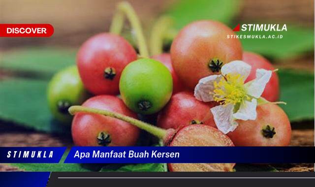 8 Manfaat Buah Kersen Untuk Kesehatan Yang Mengejutkan