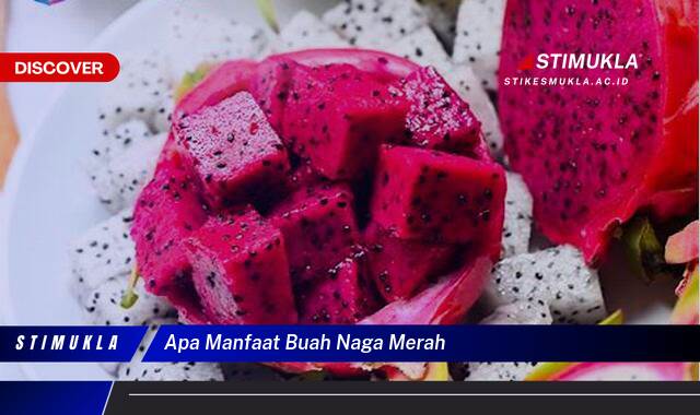 10 Manfaat Apa Manfaat Buah Naga Merah? Rahasia Terungkap!