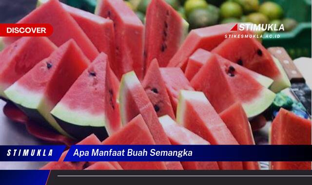 Ketahui 8 Manfaat Buah Semangka untuk Kesehatan Tubuh Anda