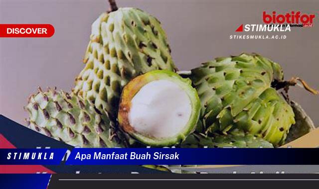 Ketahui 10 Manfaat Buah Sirsak untuk Kesehatan Tubuh Anda