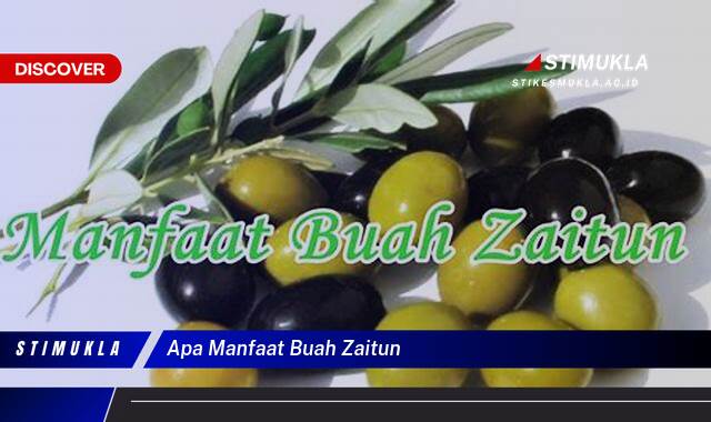 Temukan 10 Manfaat Buah Zaitun untuk Kesehatan dan Kecantikan Anda