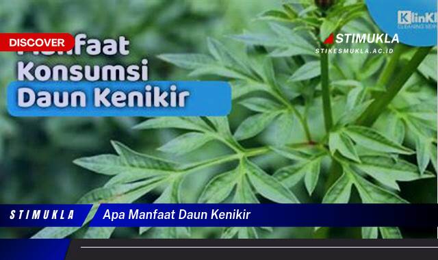 Ketahui 10 Manfaat Daun Kenikir untuk Kesehatan Tubuh Anda