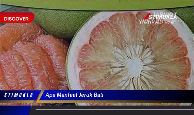 10 Manfaat apa manfaat jeruk bali Untuk Kesehatan dan Kecantikan