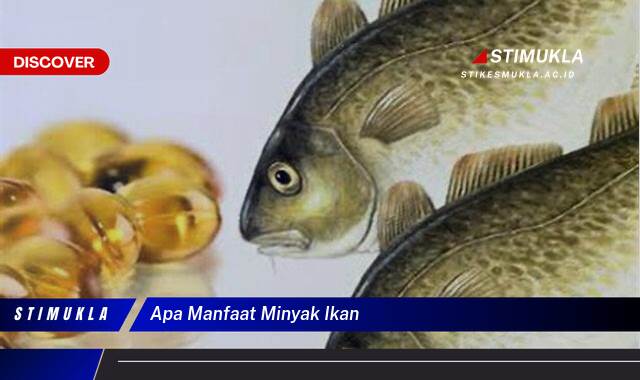 Ketahui 10 Manfaat apa manfaat minyak ikan untuk Kesehatan Tubuh Anda