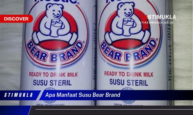 Ketahui 9 Manfaat Susu Bear Brand untuk Kesehatan Tubuh dan Daya Tahan