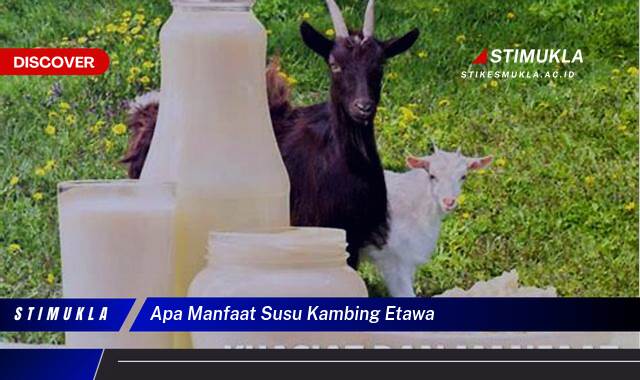 Ketahui 8 Manfaat Susu Kambing Etawa untuk Kesehatan Tubuh Anda