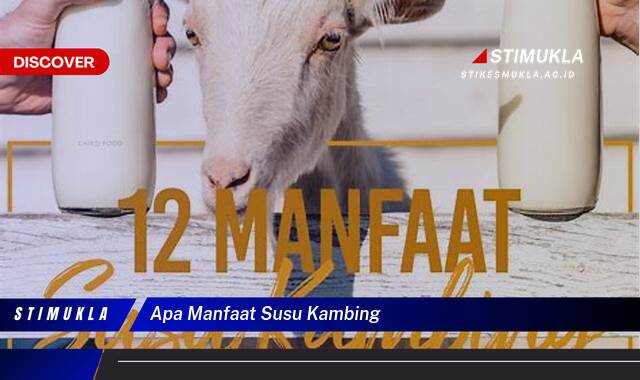 Ketahui 8 Manfaat Susu Kambing untuk Kesehatan Tubuh Anda