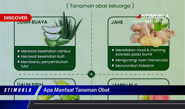 Temukan 9 Manfaat Tanaman Obat untuk Kesehatan dan Kecantikan Alami Anda