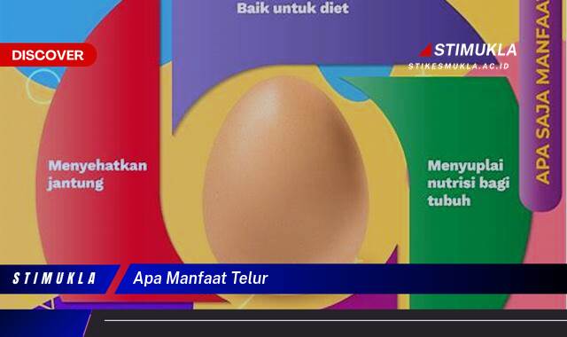 Ketahui 8 Manfaat Telur, Panduan Lengkap dari Nutrisi hingga Kesehatan