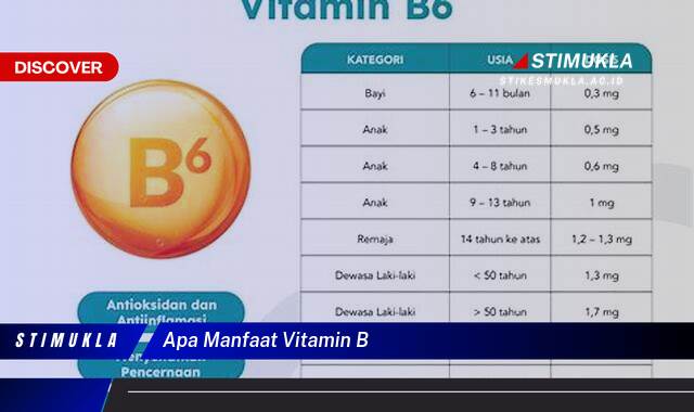 Ketahui 8 Manfaat Vitamin B untuk Kesehatan Tubuh Anda