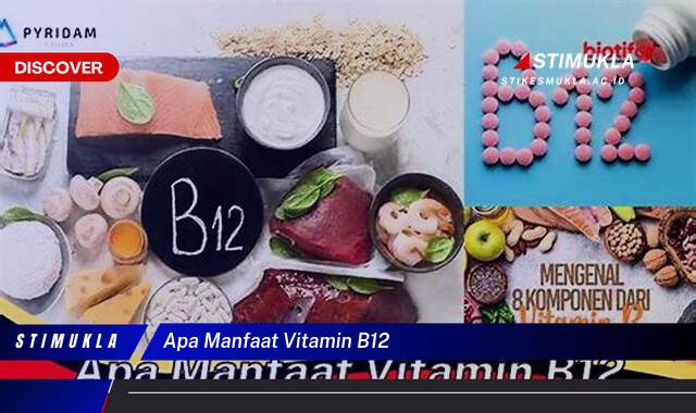 Ketahui 9 Manfaat Vitamin B12 untuk Tubuh Anda, Dari Energi Hingga Kesehatan Saraf