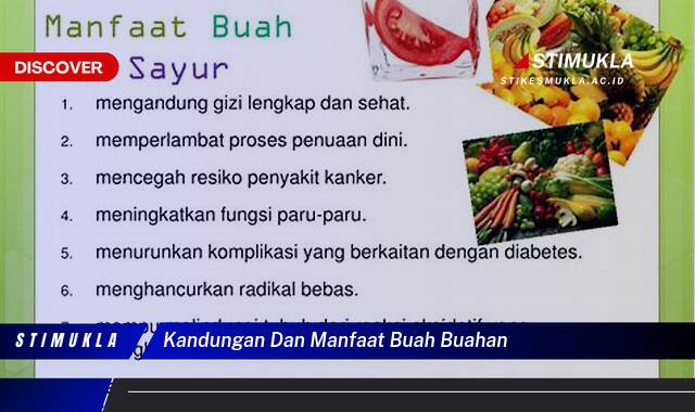 Inilah 10 Manfaat kandungan dan manfaat buah buahan untuk Kesehatan Tubuh Anda