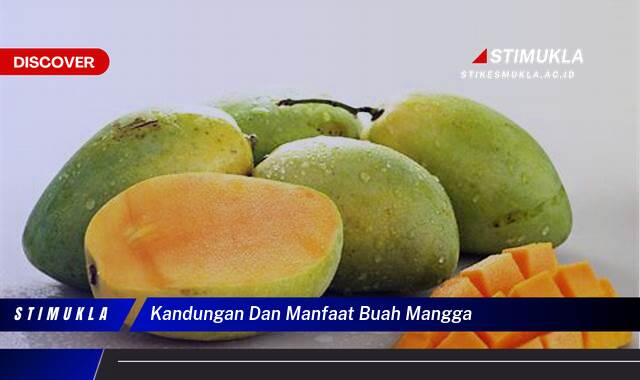 Ketahui Kandungan dan Manfaat Buah Mangga untuk Kesehatan Tubuh Anda