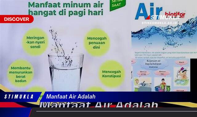 8 Manfaat manfaat air adalah Rahasia Kesehatan dan Kecantikan Terungkap