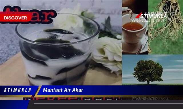 8 Manfaat manfaat air akar Temukan Khasiat Alami Luar Biasa