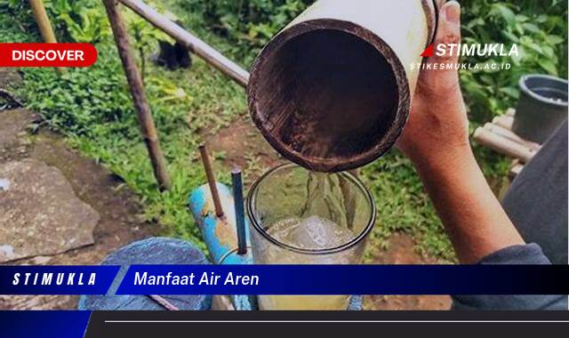 Ketahui 8 Manfaat Air Aren untuk Kesehatan Tubuh Anda