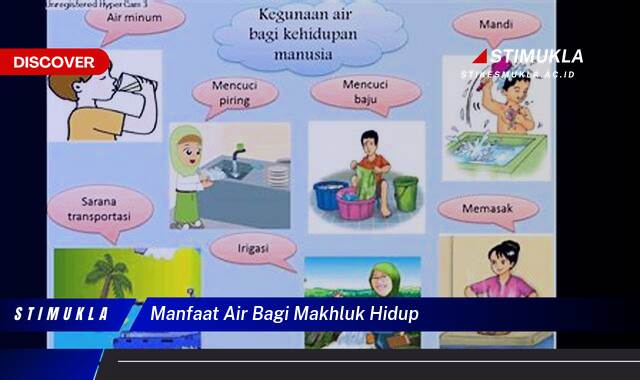 Ketahui 10 Manfaat Air Bagi Makhluk Hidup, Kunci Kelangsungan & Kesehatan Ketahui 10 Manfaat Air Bagi Makhluk Hidup, Kunci Kelangsungan & Kesehatan