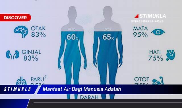 Inilah 9 Manfaat Air Bagi Manusia, Kesehatan, Kecantikan, dan Kehidupan