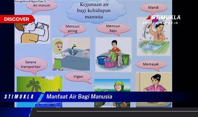 Ketahui 10 Manfaat Air Bagi Manusia, Panduan Lengkap untuk Kesehatan Tubuh Ketahui 10 Manfaat Air Bagi Manusia, Panduan Lengkap untuk Kesehatan Tubuh