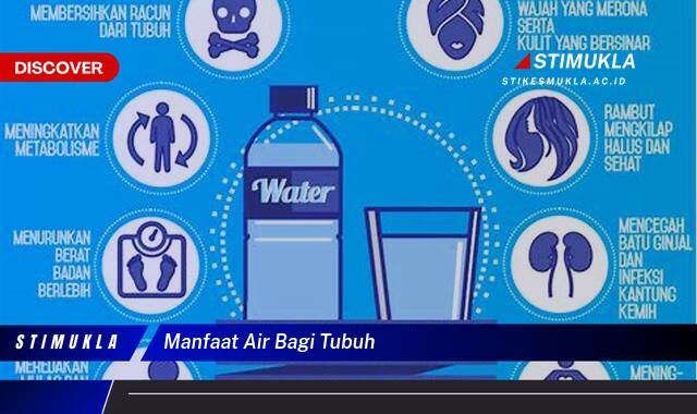 Ketahui 9 Manfaat Air Bagi Tubuh, Panduan Lengkap untuk Kesehatan Optimal