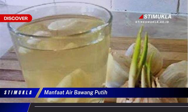 Ketahui 10 Manfaat Air Bawang Putih untuk Kesehatan Tubuh Anda