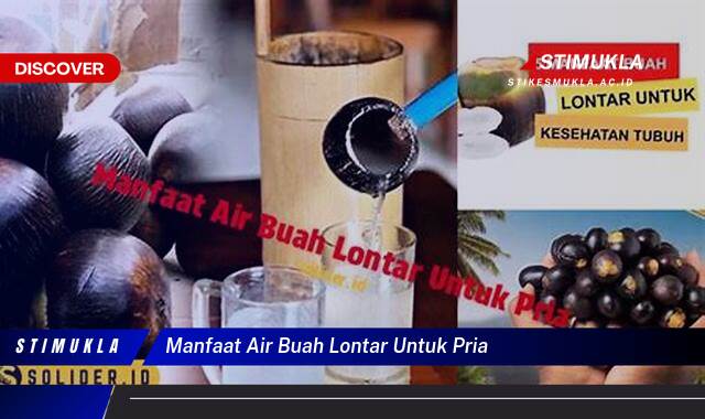 Ketahui 9 Manfaat Air Buah Lontar untuk Kesehatan Pria dan Vitalitas