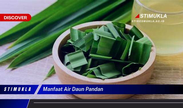 10 Manfaat manfaat air daun pn Rahasia Sehat Alami