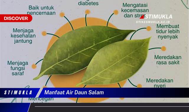 Ketahui 9 Manfaat Air Daun Salam untuk Kesehatan Tubuh Anda