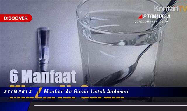 9 Manfaat manfaat air garam untuk ambeien Redakan Nyeri Lebih Cepat
