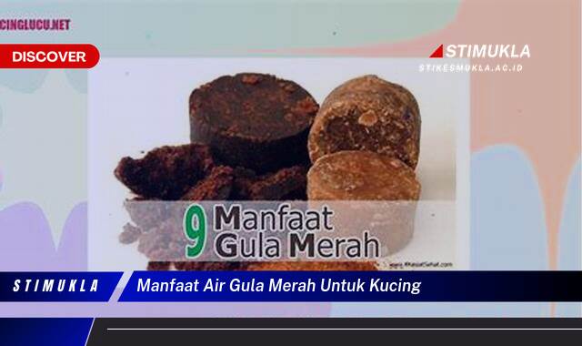 Ketahui 10 Manfaat Air Gula Merah untuk Kucing dan Cara Pemberian yang Aman Ketahui 10 Manfaat Air Gula Merah untuk Kucing dan Cara Pemberian yang Aman