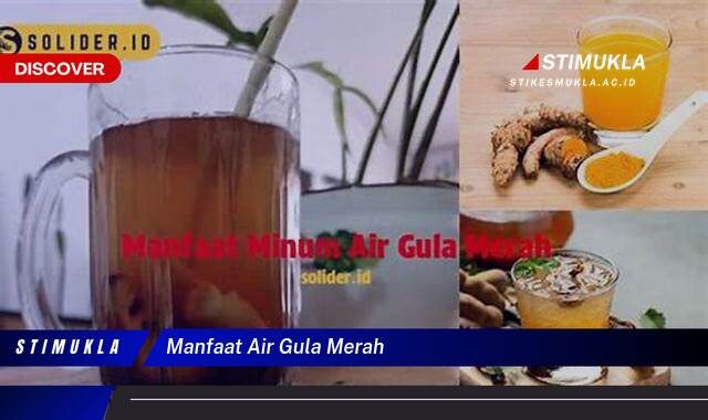 Ketahui 8 Manfaat Air Gula Merah untuk Kesehatan Tubuh Anda