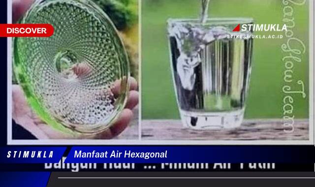 Temukan 9 Manfaat Air Hexagonal untuk Kesehatan Tubuh dan Kecantikan Anda